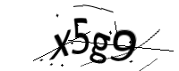 captcha_img